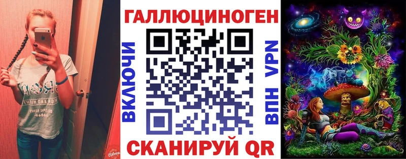 Галлюциногенные грибы Cubensis  где можно купить   Суджа 